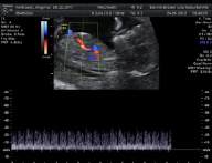 Frauenarztpraxis Dr. Gerald Bräutigam, Frauenarzt Linz