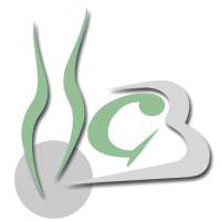 Frauenarzt Linz Dr. Gerald Br�utigam