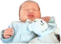 Frauenarzt Linz Dr. Gerald Br�utigam